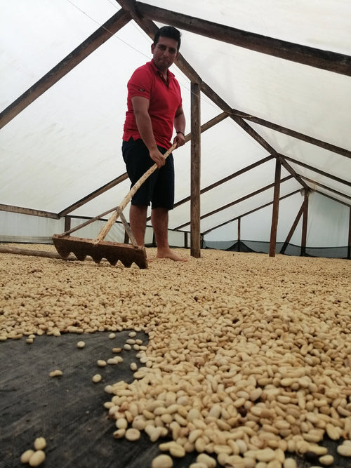 La Virgen Coffee Farm
