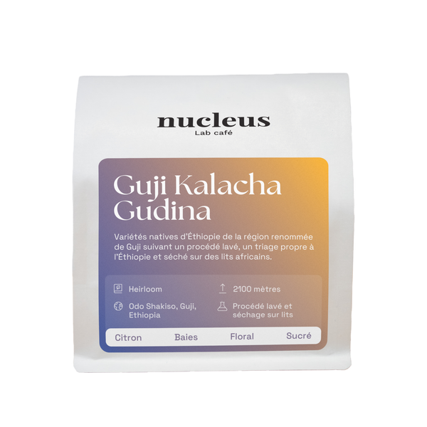 Guji Kalacha Gudina