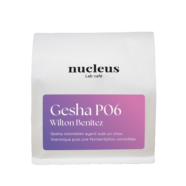 Gesha P-06