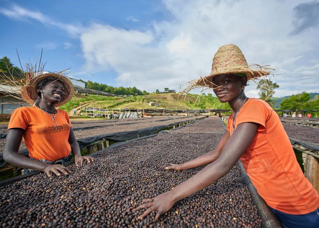 Transparency in coffee