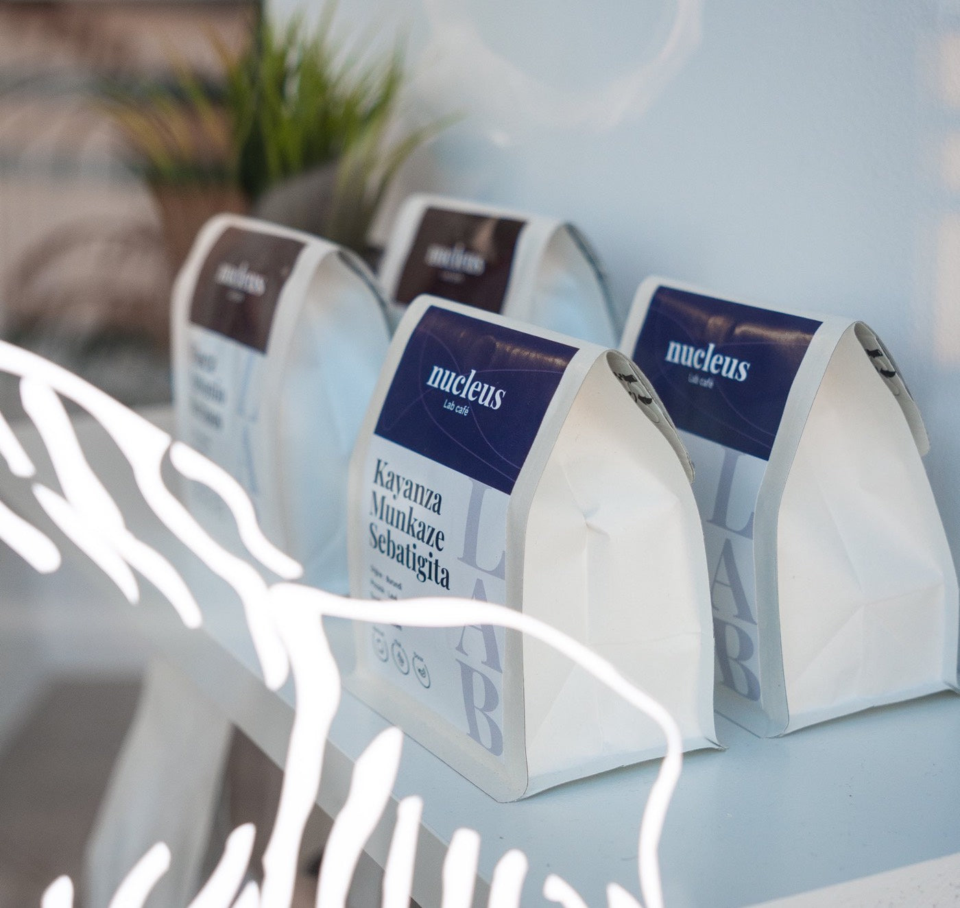 Coffee Bags - Are They Really Recyclable Or Compostable?