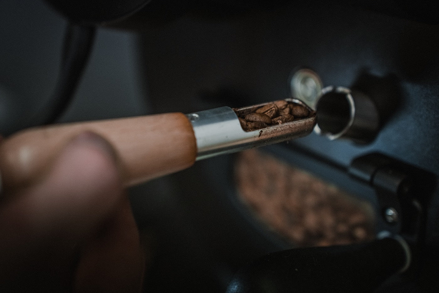 Green Bean Coffee Moisture For Roasting
