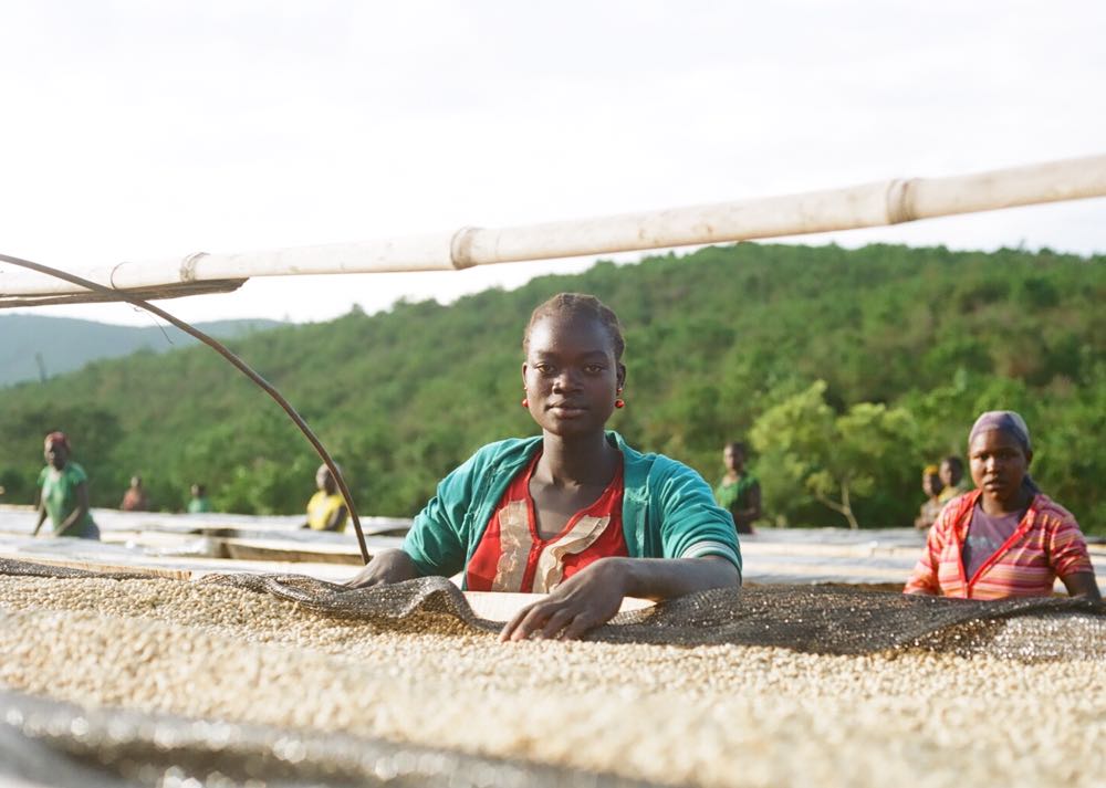 Redefining the coffee market: The limits of the current system