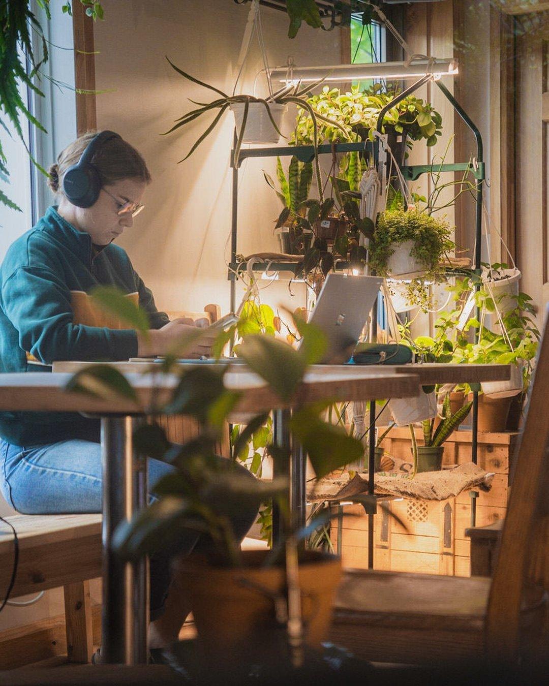 Les 5 meilleurs cafés de Sherbrooke