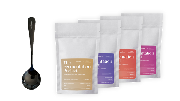 Kit de dégustation Fermentation Project de James Hoffmann - Nucleus