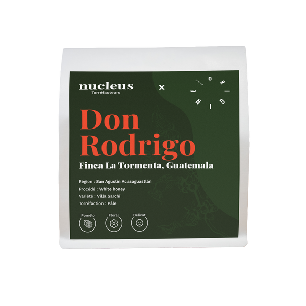 Don Rodrigo