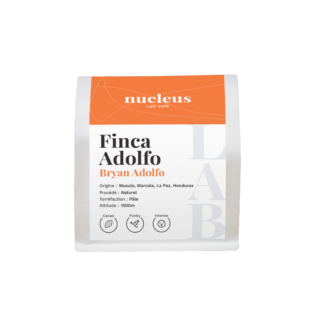 Finca Adolfo Image